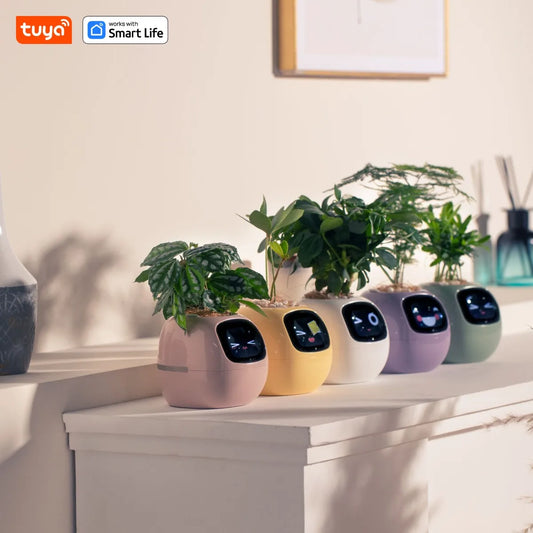 Ivy Smart Planter | Effortless Plant Care, Anytime